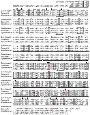 Polyphosphate-kinase-1 dependent polyphosphate hyperaccumulation for acclimation to nutrient loss in the cyanobacterium, Synechocystis sp. PCC 6803